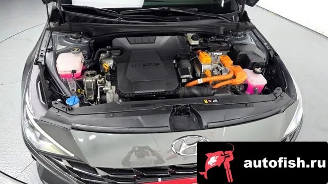 Hyundai AVANTE Avante Hybrid (CN7) 2023 года - вид 6