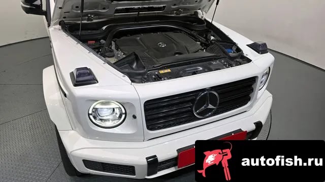 Mercedes-Benz G-Class G-Class W463b 2023 года - вид 6