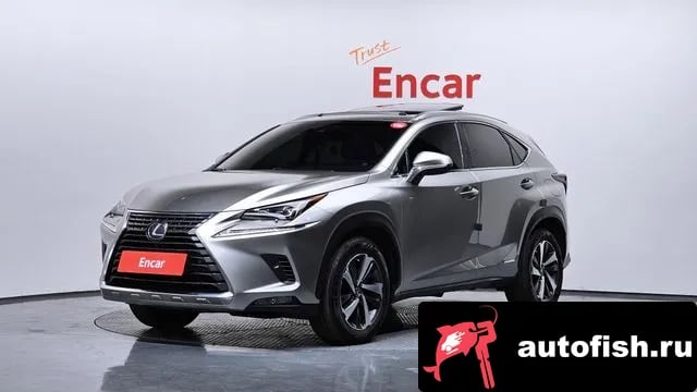 Lexus NX NX300h 2018 года - вид 1