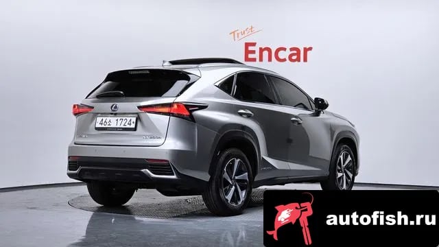 Lexus NX NX300h 2018 года - вид 2