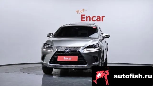 Lexus NX NX300h 2018 года - вид 3