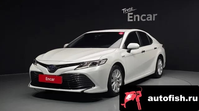 Toyota Camry Camry (XV70) 2019 года - вид 1