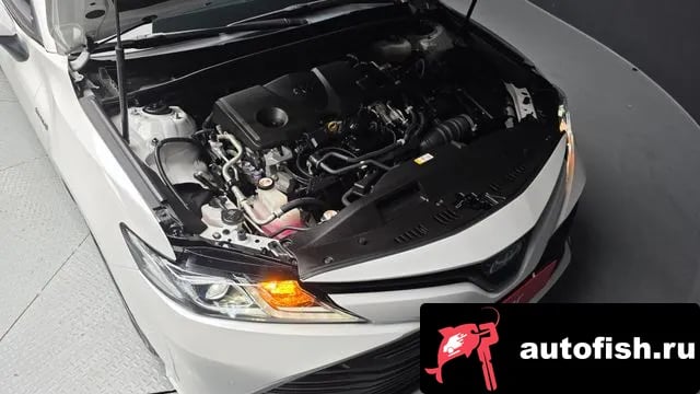 Toyota Camry Camry (XV70) 2019 года - вид 6