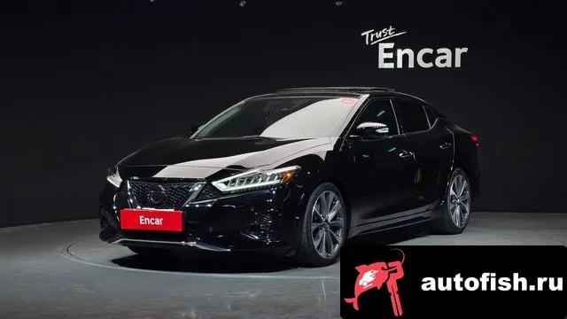Nissan Maxima Maxima (A36) 2019 года - автомобиль из Южной Кореи