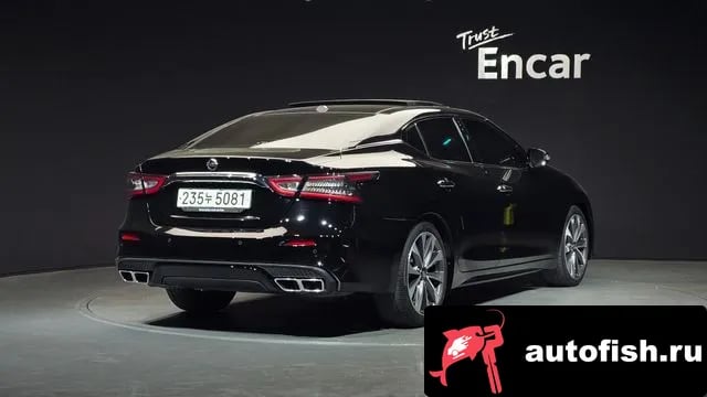 Nissan Maxima Maxima (A36) 2019 года - вид 2