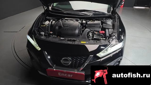 Nissan Maxima Maxima (A36) 2019 года - вид 6