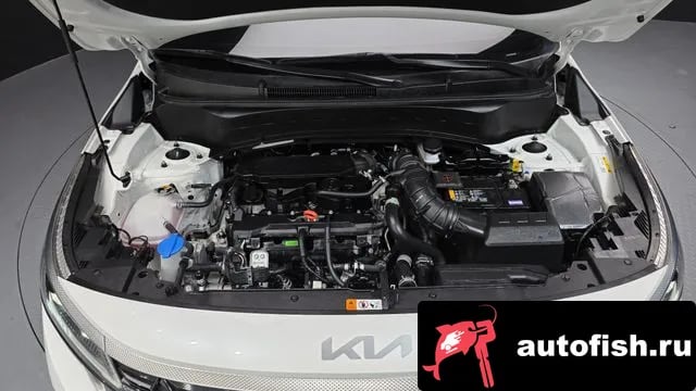 Kia Seltos The New Celtos 2024 года - вид 6