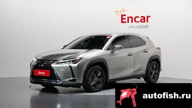 Lexus UX UX250h 2020 года - вид 1