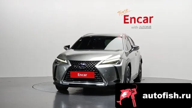 Lexus UX UX250h 2020 года - вид 3