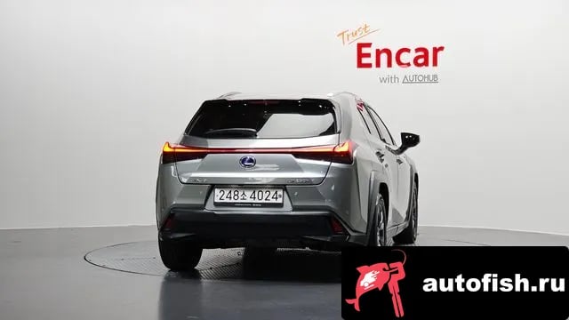 Lexus UX UX250h 2020 года - вид 4