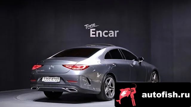 Mercedes-Benz CLS-Class CLS-Class C257 2019 года - вид 2