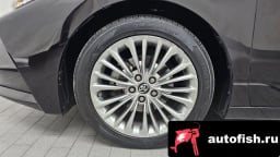 Миниатюра 5