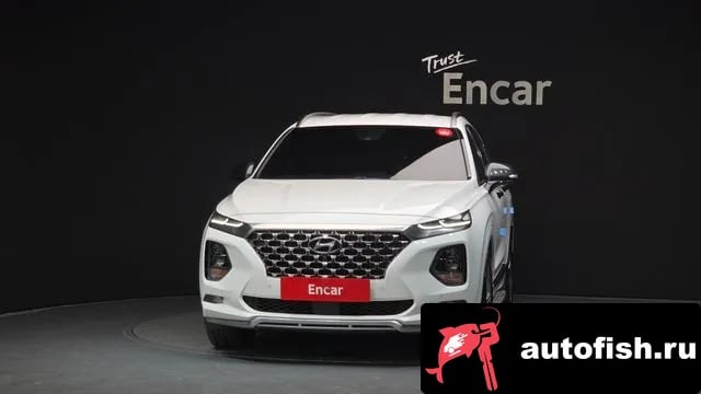 Hyundai Santafe San Tafe TM 2019 года - вид 3