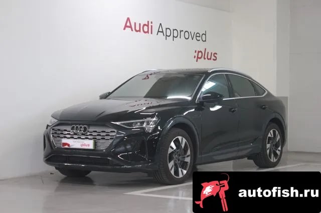 Audi Q8 e-tron Q8 e-Tron (GE) 2024 года - вид 1