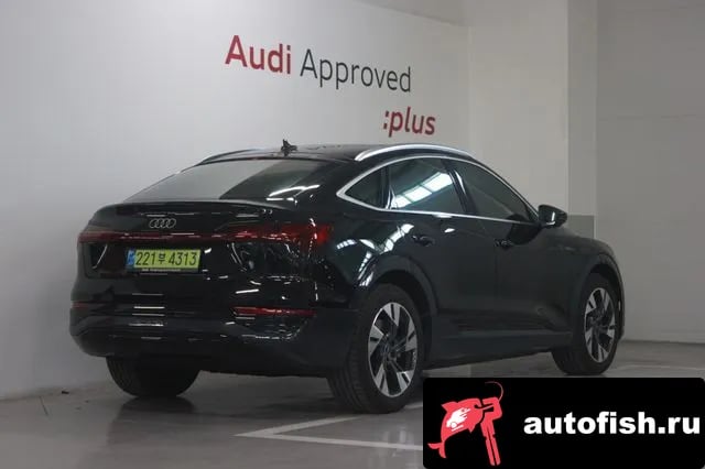 Audi Q8 e-tron Q8 e-Tron (GE) 2024 года - вид 2