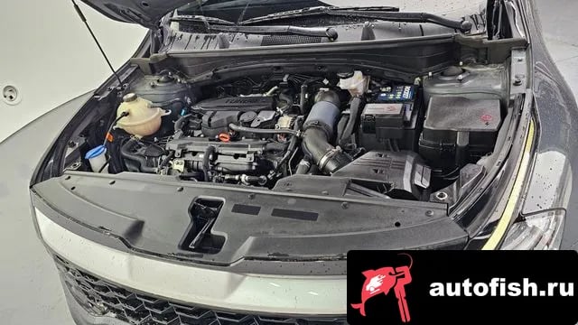 Kia Sportage Sportage 5th Generation 2022 года - вид 6