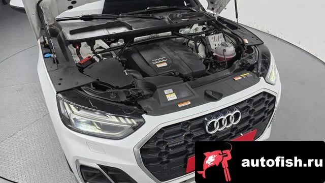 Audi Q5 Q5 (FY) 2022 года - вид 6