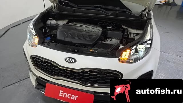 Kia Sportage Sportage The Bold 2019 года - вид 6