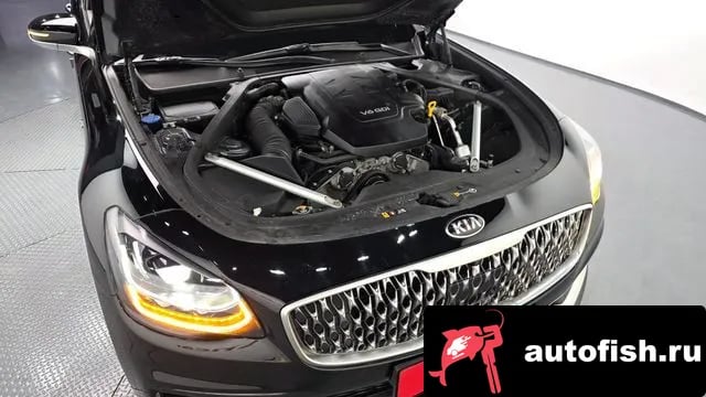 Kia K9 More K9 2019 года - вид 6