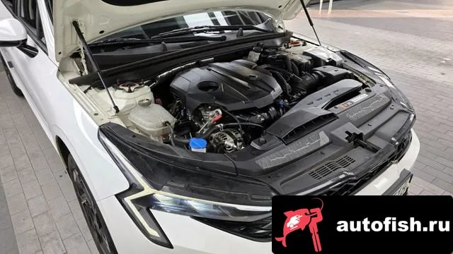 Kia K5 The New K5 3rd generation 2024 года - вид 6