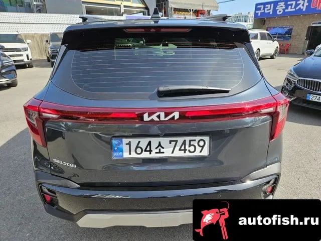 Kia Seltos The New Celtos 2024 года - вид 4