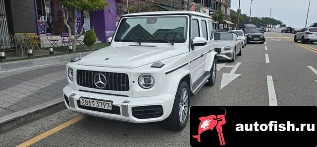Mercedes-Benz G-Class G-Class W463b 2020 года - вид 1