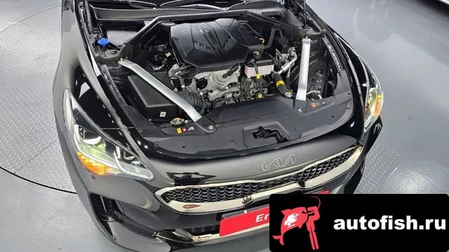 Kia Stinger Stinger Meister 2023 года - вид 6