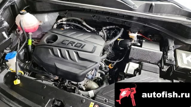 Kia Sportage Sportage The Bold 2021 года - вид 6