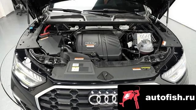 Audi Q5 Q5 (FY) 2024 года - вид 6