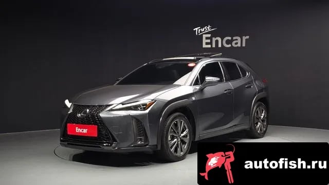 Lexus UX UX250h 2023 года - вид 1
