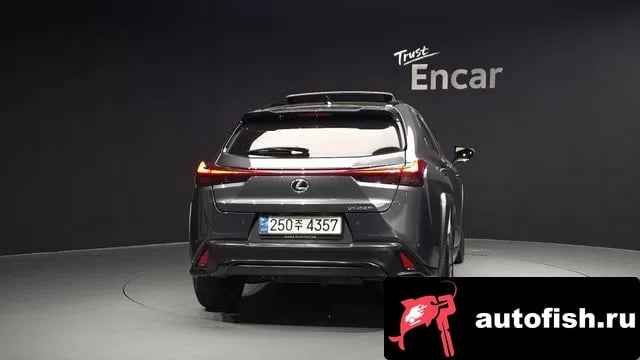 Lexus UX UX250h 2023 года - вид 4