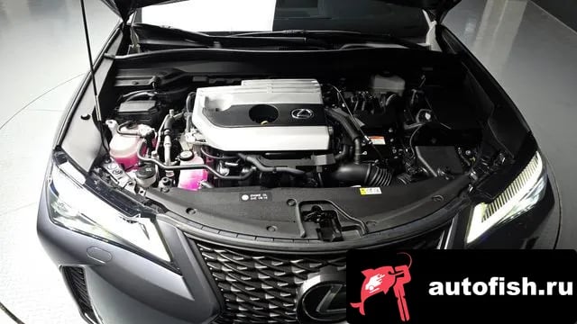 Lexus UX UX250h 2023 года - вид 6