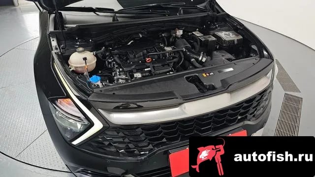 Kia Sportage Sportage 5th Generation 2022 года - вид 6