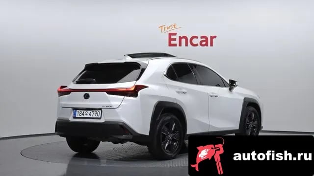 Lexus UX UX250h 2023 года - вид 2