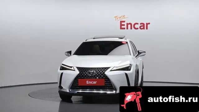 Lexus UX UX250h 2023 года - вид 3