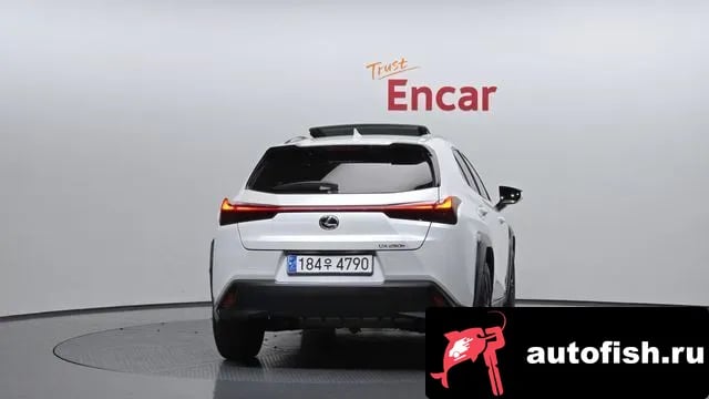 Lexus UX UX250h 2023 года - вид 4