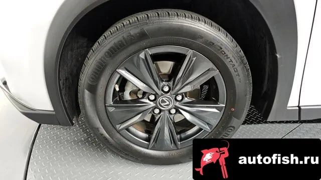 Lexus UX UX250h 2023 года - вид 5