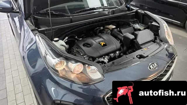 Kia Sportage Sportage The Bold 2018 года - вид 6