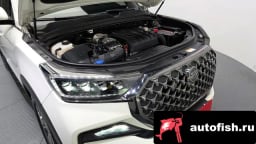 Миниатюра 6