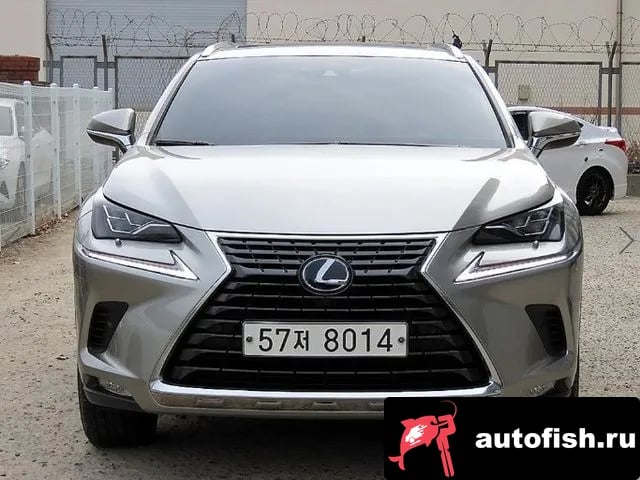 Lexus NX NX300h 2019 года - вид 1