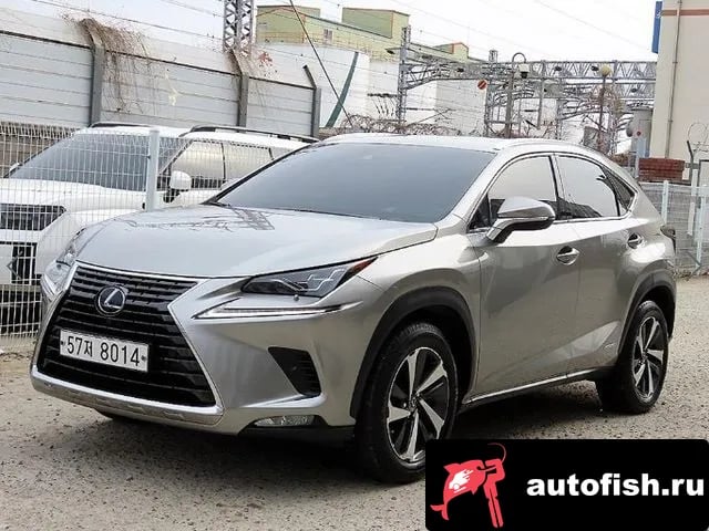 Lexus NX NX300h 2019 года - вид 2