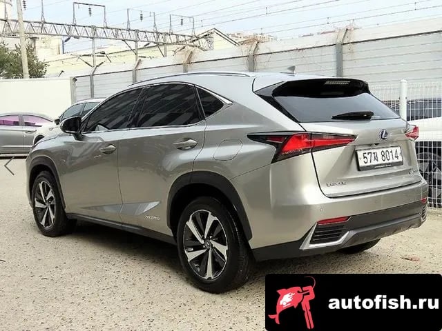 Lexus NX NX300h 2019 года - вид 3