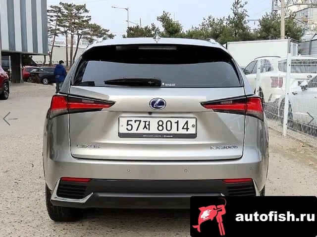 Lexus NX NX300h 2019 года - вид 4