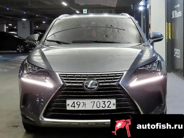 Lexus NX NX300h 2019 года - вид 2