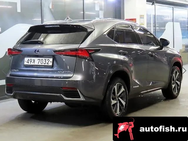 Lexus NX NX300h 2019 года - вид 4