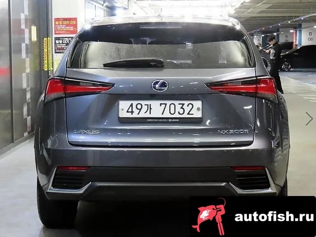 Lexus NX NX300h 2019 года - вид 5