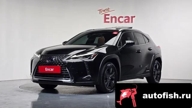 Lexus UX UX250h 2020 года - вид 1