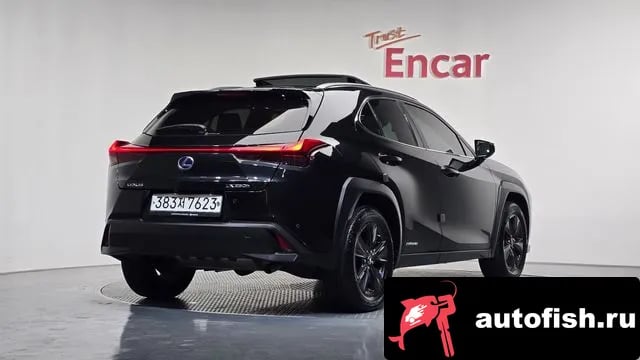Lexus UX UX250h 2020 года - вид 2