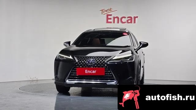 Lexus UX UX250h 2020 года - вид 3