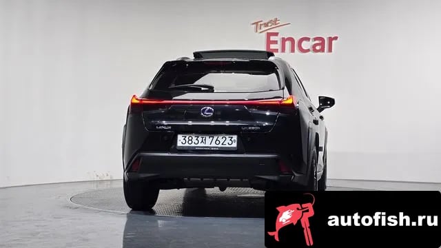 Lexus UX UX250h 2020 года - вид 4